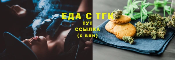 индика Балахна