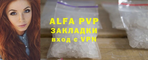 индика Балахна