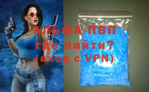 индика Балахна
