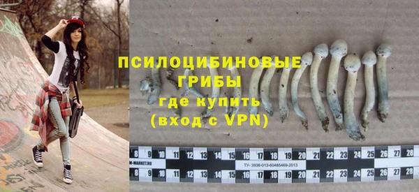 дурь Новокубанск