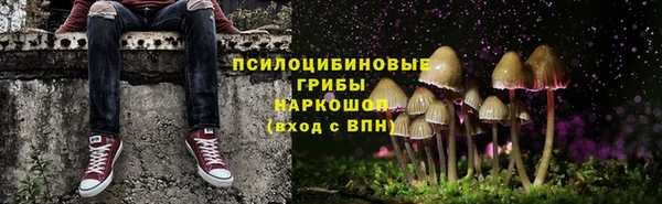 индика Балахна