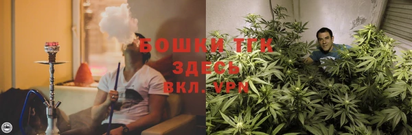 индика Балахна